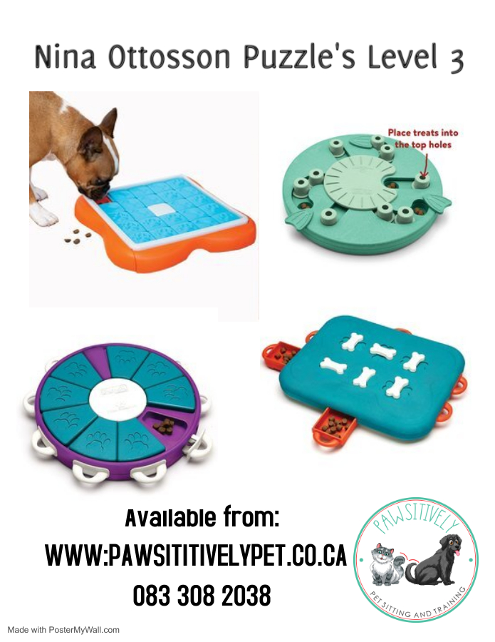 DOG SMART - COMPOSITE - Nina Ottosson Treat Puzzle Games for Dogs